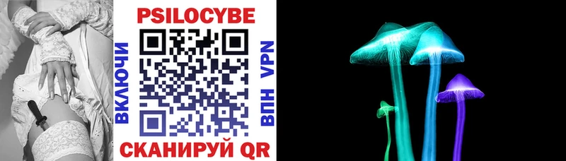 Псилоцибиновые грибы Psilocybe  мега онион  Горбатов 